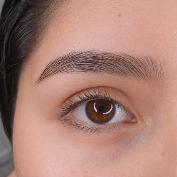 Diseño de cejas con henna: sombreado y definición